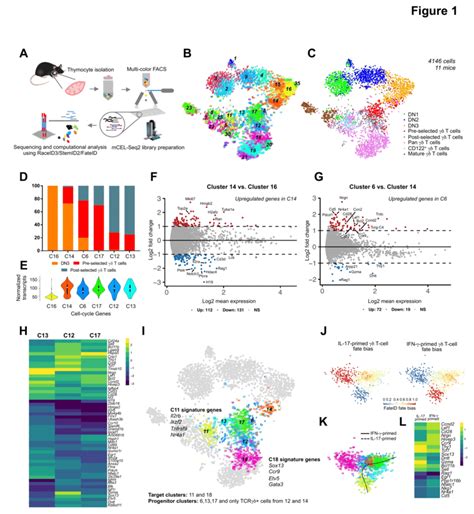 Combined analysis of single cell RNA.